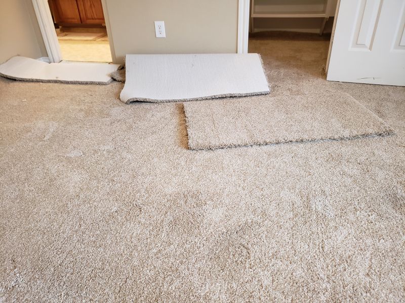 Doorway Carpet Repair in Olathe, KS